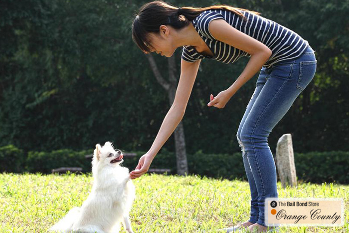 We get our clients out of jail faster than our competitors and treat you with the dignity and respect that you deserve. Call us today to save someone you love. | Bail Bond Store in Orange County | Santa Ana Bail Bonds irvine bail bonds