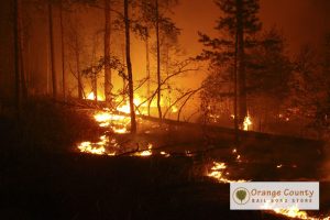 staying-safe-during-californias-wildfire-season