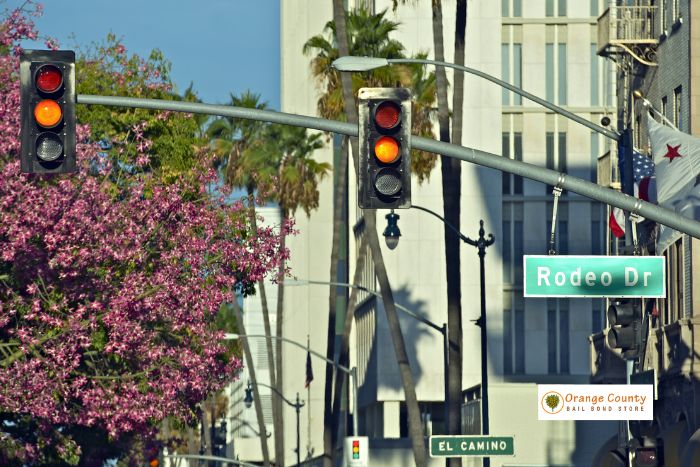 ignoring and disobeying california traffic signals